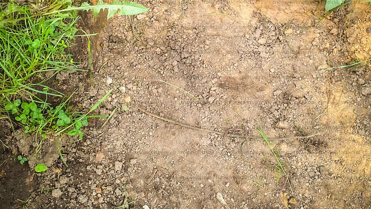 Фундамент,  плита, монолитная плита, фундамент для гаража, фундамент плита для гаража,
									устройство фундамента для гаража, монолитный, фото фундамента, Как построить фундамент фото